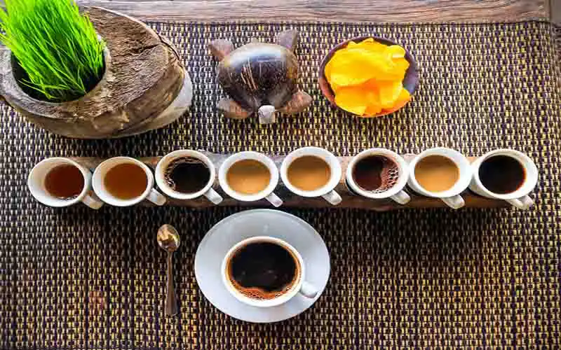 luwak coffee luwak coffee